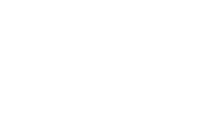 ポールダンススタジオプルームロゴ
